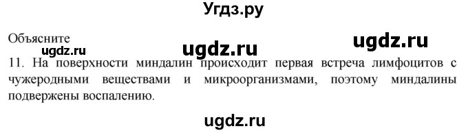 ГДЗ (Решебник) по биологии 9 класс Суматохин С.В. / часть 2 / §12 / объясните / 11