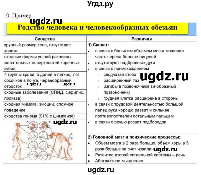 ГДЗ (Решебник) по биологии 9 класс Суматохин С.В. / часть 2 / §45 / задание / 10